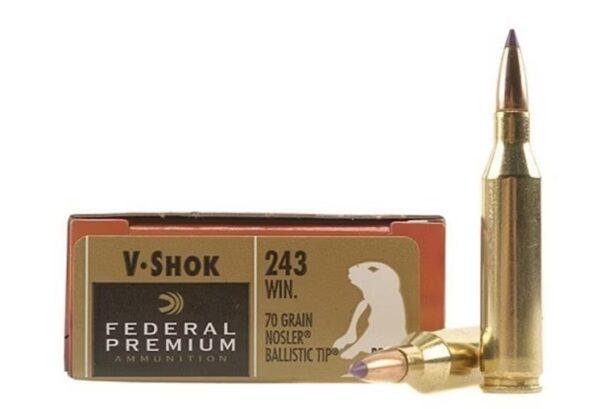 Federal Premium Varmint Ammunition 243 Winchester 70 Grain Nosler Ballistic Tip 520 Rounds