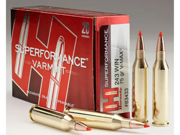 Hornady Superformance Varmint Ammunition 243 Winchester 75 Grain V-MAX Polymer Tip 520 Rounds