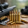 How to Choose Rifle Cartridges Smartly